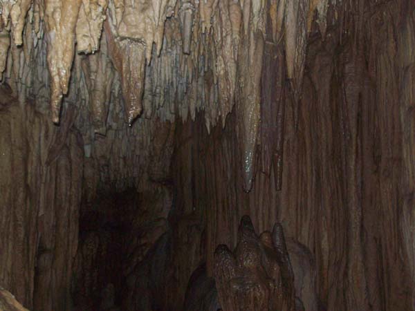 stalaktit gua gong pacitan
